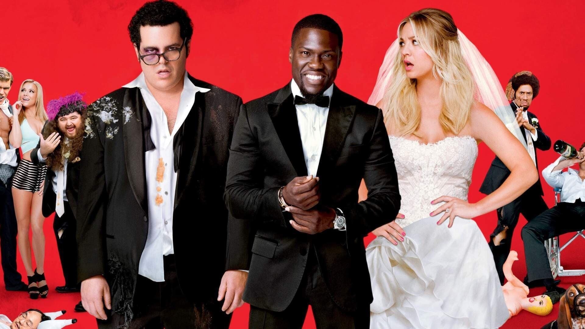 วิจารณ์ตรงประเด็น The Wedding Ringer นุ่มนวล